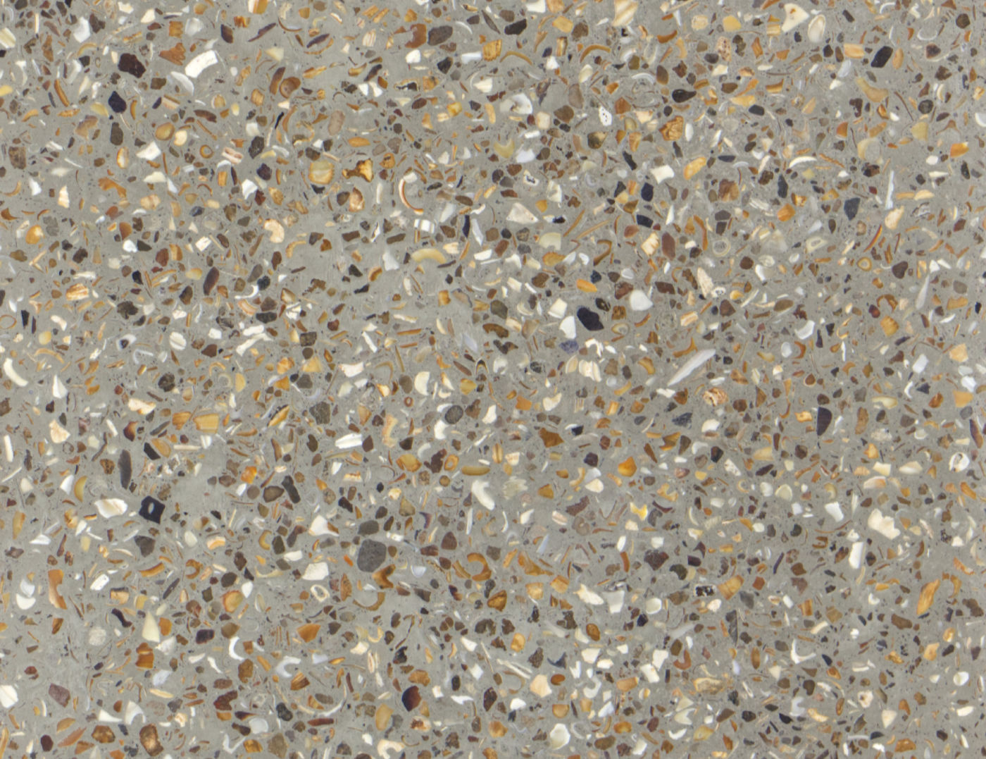 terrazzo van schelpen